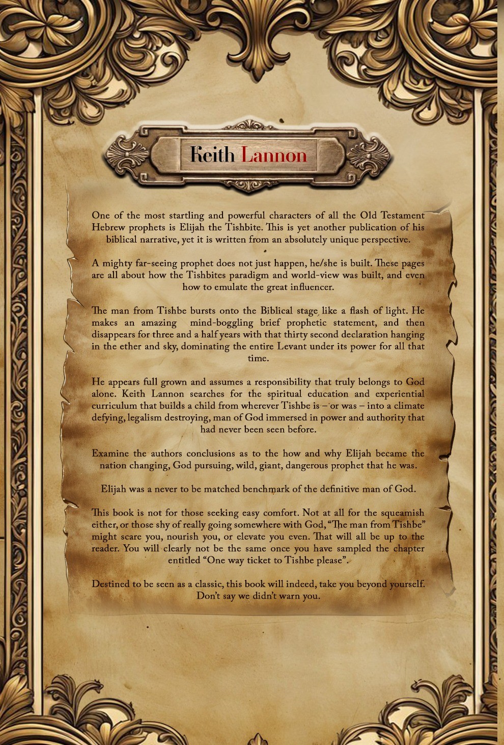 Back cover of The Man from Tishbe